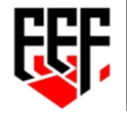FFF fight for freedom Beta