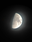 Night and the moon