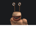 SNAIL NATION PRO