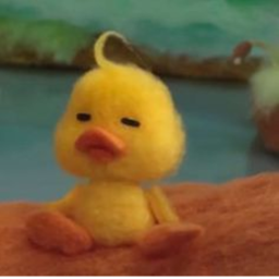 duck obby! ♡