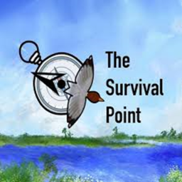 Survival Point