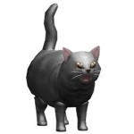 All the cats united
