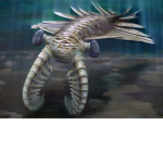 anomalocaris gang