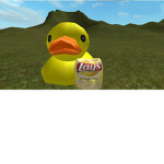 The Duck is just Being a Duck so Let it be a Duck