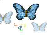 Wings Cafe