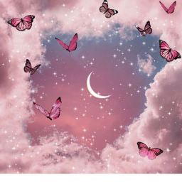 Aesthetic Butterfly Park! <3