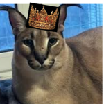 floppa --KINGDOM!--