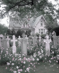 Juxtaposed Dreams