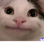 big boss group here we like to love cats and dogs