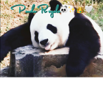 {~Panda Royals~}