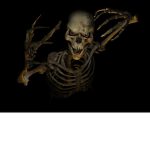 The Bones