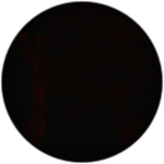 Completed Level 4: The Crimson Forest