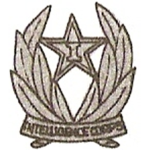 IC | Intelligence Corps