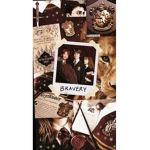 HARRY POTTER FANS ONLY <3