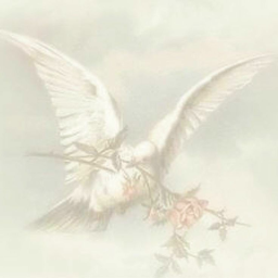 ⋆˚♡˖°