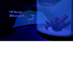 The Reef (NEW AND IMPROVED)