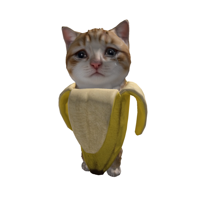 Sad Cat Banana Meme