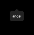 fallen angels • clothing store