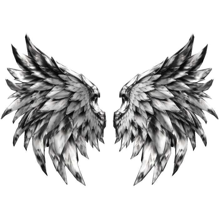 Big Monochrome Celestial Vanguard Wings