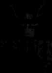 Leopardinus Studios