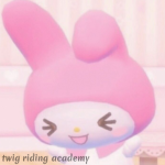 Twig Riding Academy
