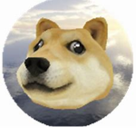 Doge co.factory