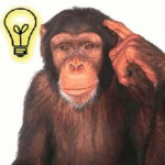 Be-Logical