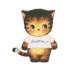 Minino Mix