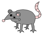 The rat's from above