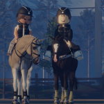 HORSE RIDING LESSONS HORSE LOVERS