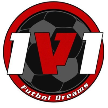 1v1