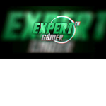 Expert's Fan Group