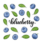 Blueberry squad’s