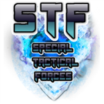 Special Tactical Forces