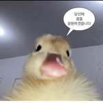 어서오렴 닝겐들아