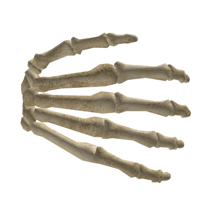 Skeleton Hand Cover