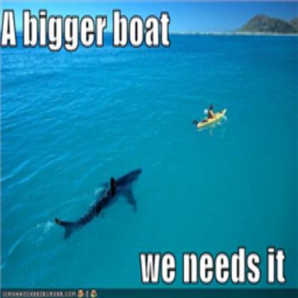 funny shark Roblox decal