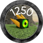 1250 Cubes