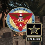 Task Force Sinai