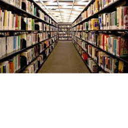 the library