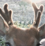 αηgχєℓѕ