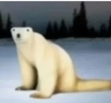 Bear 2026 screenshot 1