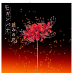 Higanbana Clothing