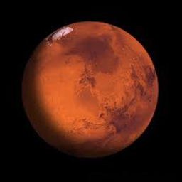 Musk