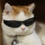 Swaggy Humans lel