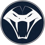 Viper Guerrilla Brigade