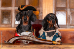 BLUNDERDOGS