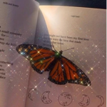 Butterfly group love