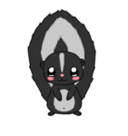 Skunk’s Place