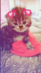 autumn's loves ##